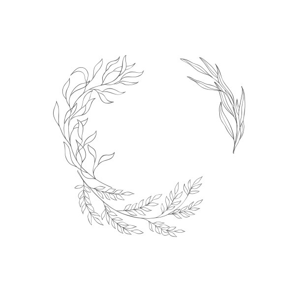 植物的框架和字母图片下载