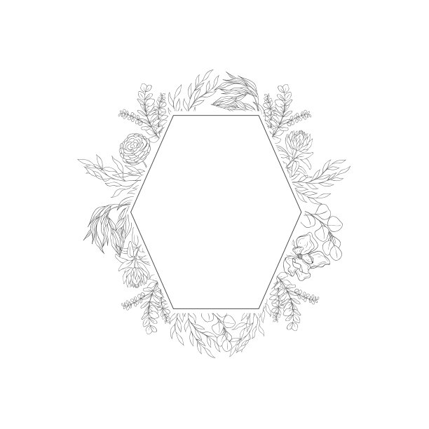 植物的框架和字母图片下载