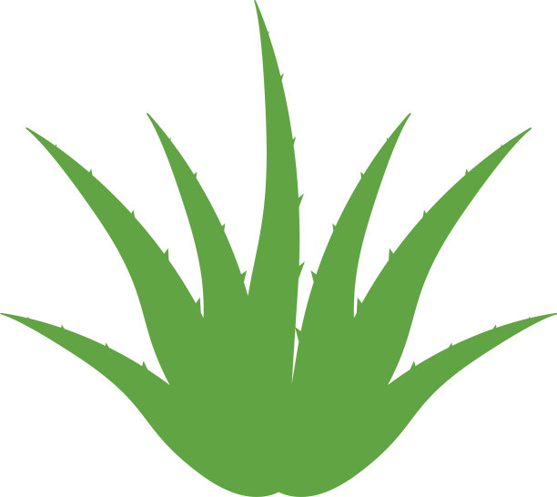 芦荟图标设计模板孤立图片下载