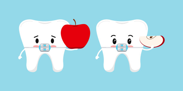 可爱的白色牙齿，牙套和苹果图标设置。图片下载