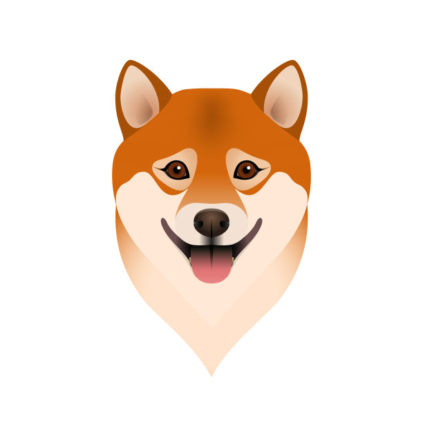 孤立的彩色头和脸的幸福柴犬在白色的背景。彩色平面卡通犬种肖像。图片下载