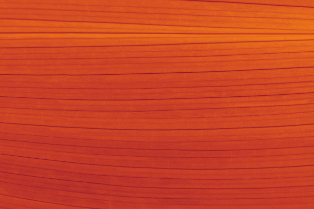 秋天橙色红色金叶条纹背景金盏花棕色黄色赤褐色纹理锈时髦的颜色微距摄影软焦点图片下载