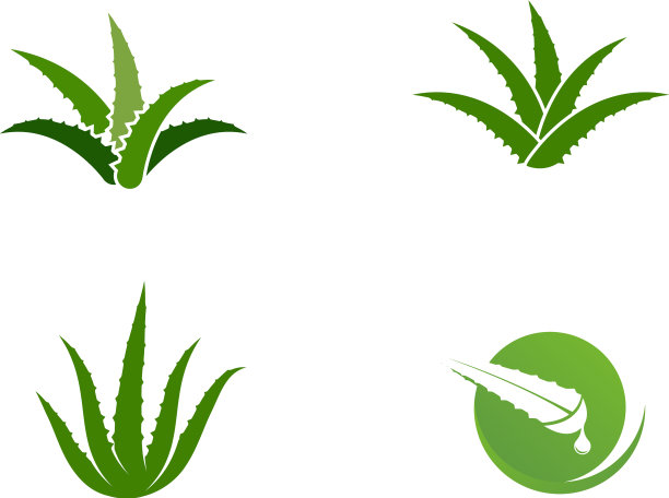 芦荟设计图片下载