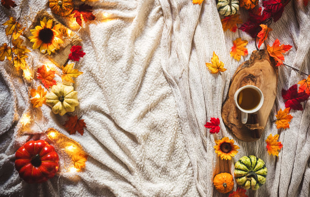 装饰秋天背景图片下载