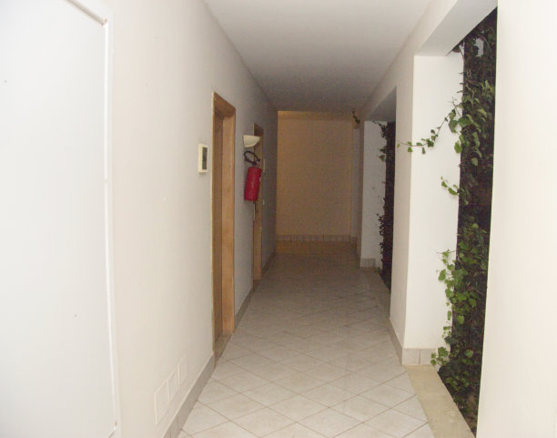 旅馆里有房间门的空走廊图片下载