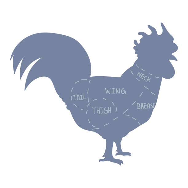 可爱的法国农场小公鸡屠夫图表图片下载