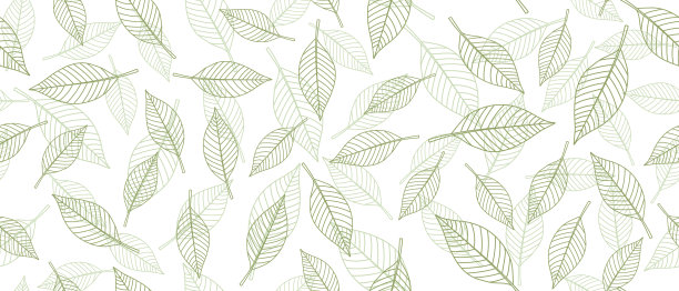 绿叶背景图片下载