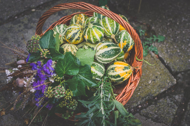 木制篮子里装饰的秋天南瓜图片下载
