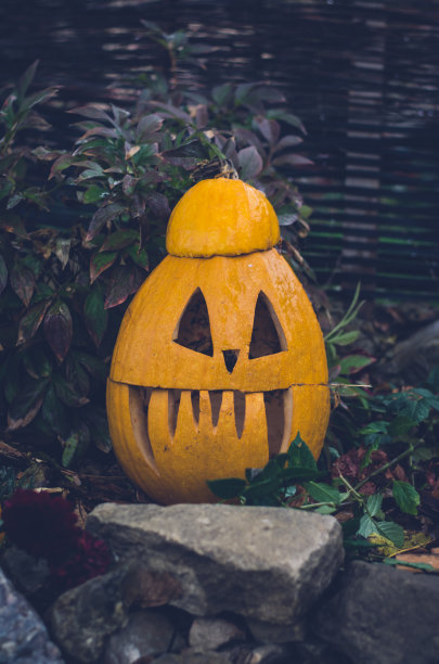 橙色吓人的万圣节南瓜概念图片下载