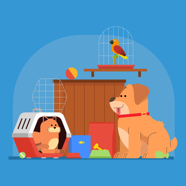彩色矢量插图的宠物商店。家畜保健和食品。美容沙龙。平板风格的宠物及其配件和玩具。动物商店的概念。图片下载