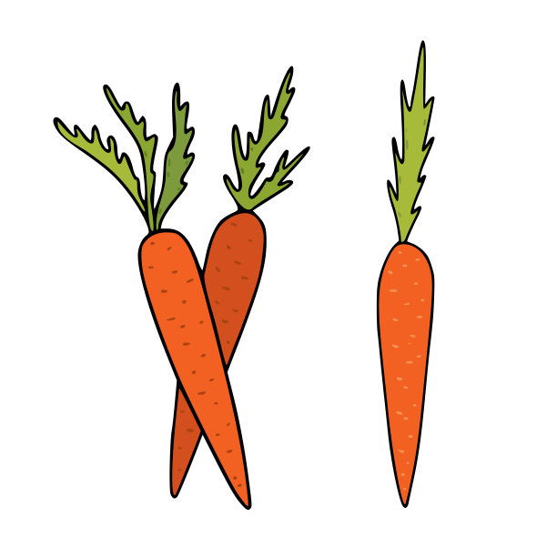 胡萝卜矢量插图。蔬菜食品的图标、标签。农业市场的产品。胡萝卜孤立设计简单。图片下载