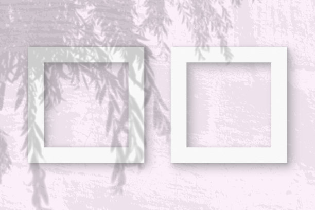 自然光从柳枝上投射阴影在两个方形的白色纹理纸框架上图片下载