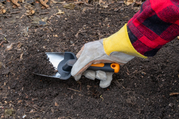 一个穿着红色格子衬衫和工作手套的男人或女人拿着一个装满土的花坛铲子图片下载