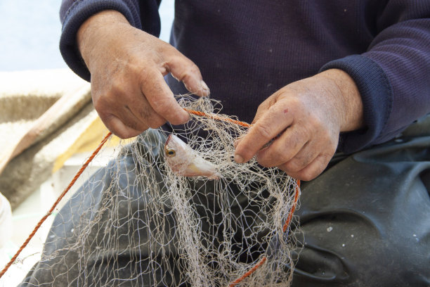 人用网捕鱼图片下载