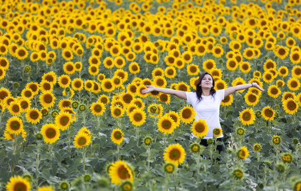 向日葵地里的美女图片下载