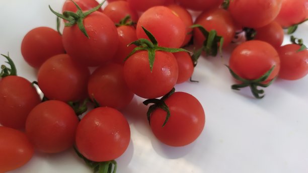 白盘子里的新鲜西红柿图片下载