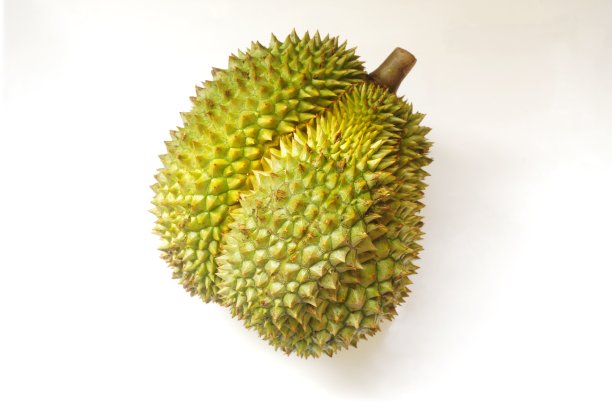 榴莲在东南亚被认为是水果之王。图片下载