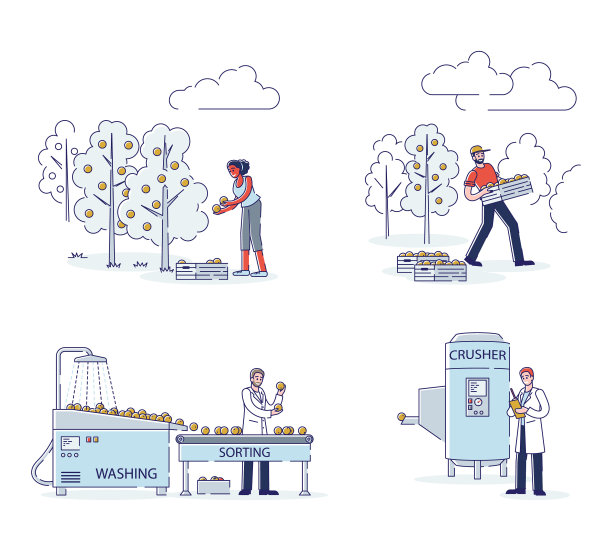 果汁生产概念，人们采摘橙子图片下载