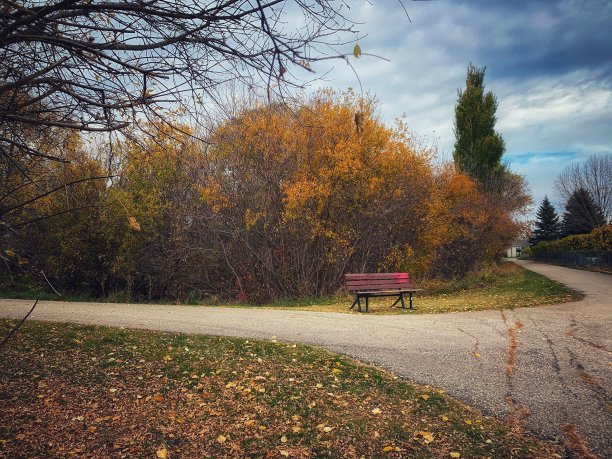 寂寞的长椅上图片下载