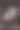 纯种狗的画像在一个庄严的乡村家庭图片下载