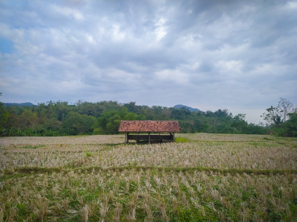 的小屋图片下载