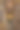 意大利罗马吉苏教堂的壁画和雕像图片下载
