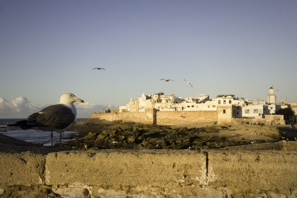 Essaouira、摩洛哥图片下载