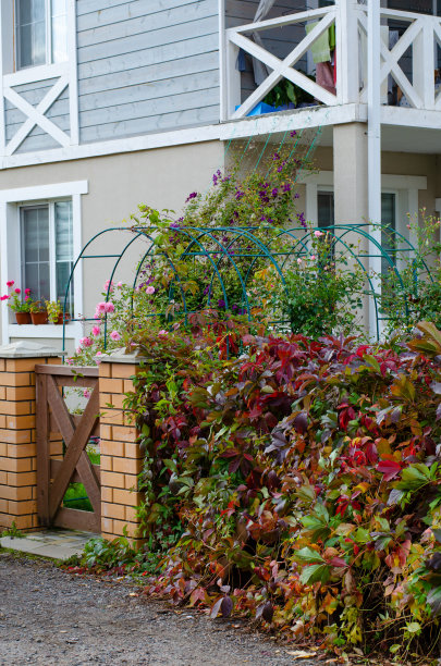 秋天农舍村的房子。阳光明媚，绿树成荫，叶子红黄相间。图片下载