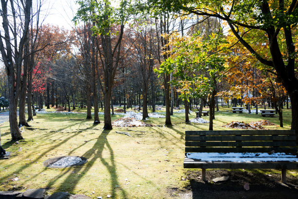 公园在深秋有雪图片下载