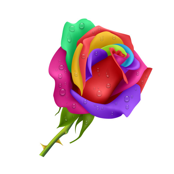 美丽的玫瑰孤立在白色背景上。玫瑰与不同颜色的花瓣，照片逼真的梯度网格矢量eps 10插图。图片下载