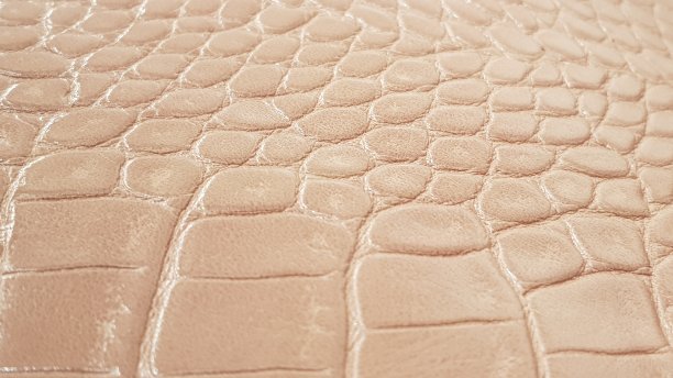 鳄鱼纹理图片下载