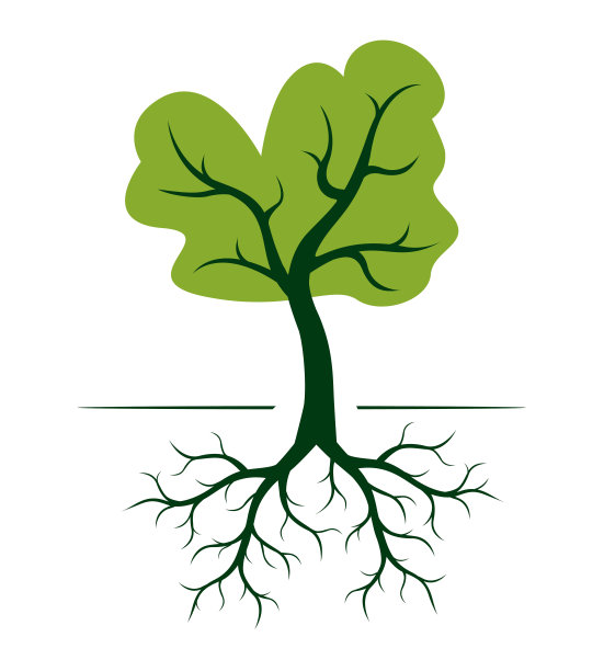 有根的绿树。矢量插图轮廓。植物在花园。图片下载