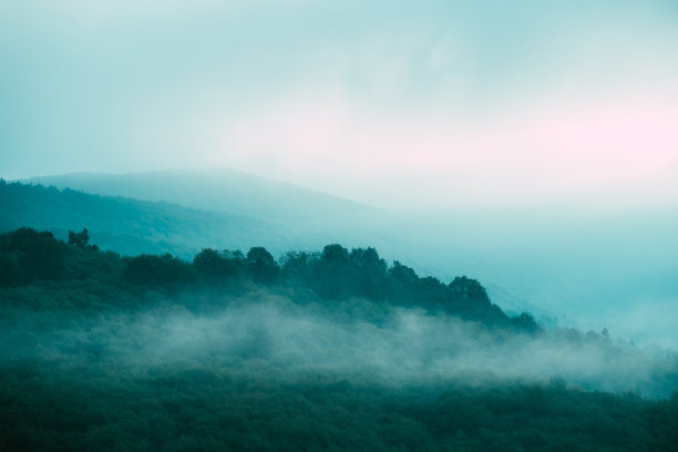 山景被雾所覆盖。森林和草地图片下载