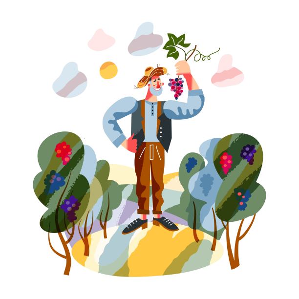 在花园里种植葡萄的农民。饮食矢量插图。种植葡萄以生产葡萄酒在农场与树木。快乐微笑的人站在户外，拿着树枝图片下载