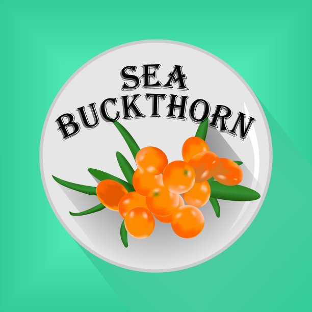 贴有沙棘图案的贴纸或纽扣。矢量图图片下载