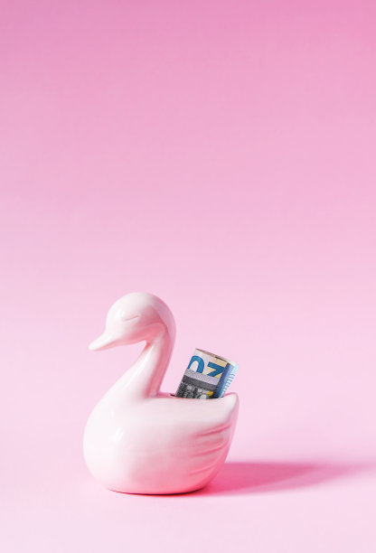 有趣的鸭子储蓄罐或钱箱与纸上的钱在柔和的彩色背景。图片下载