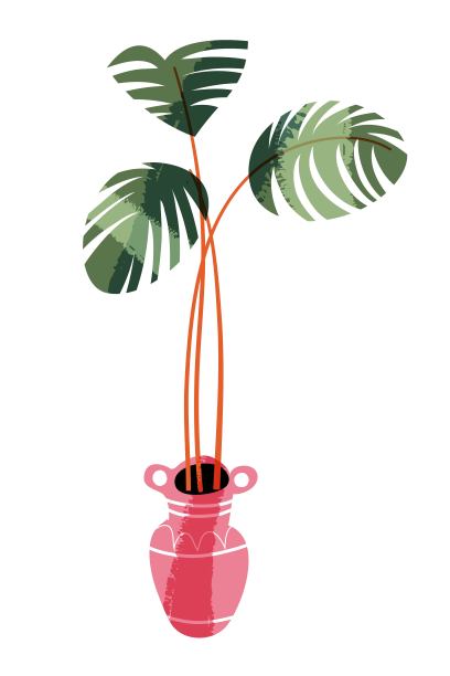 绿色植物在家。室内设计室内植物矢量插图。卡通房子或办公室植物插在室内花瓶里。装饰棕榈在盆中孤立的白色背景图片下载