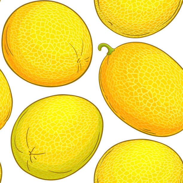 瓜矢量模式图片下载