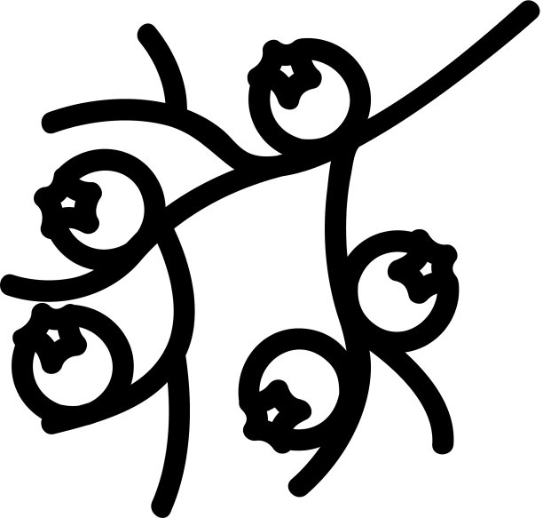 山楂树枝图标轮廓图片下载