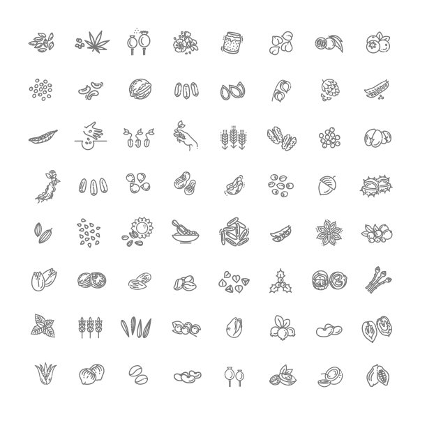 植物种子和坚果图标集图片下载