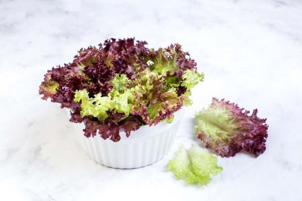 新鲜的莴苣叶子在一个明亮的背景图片下载