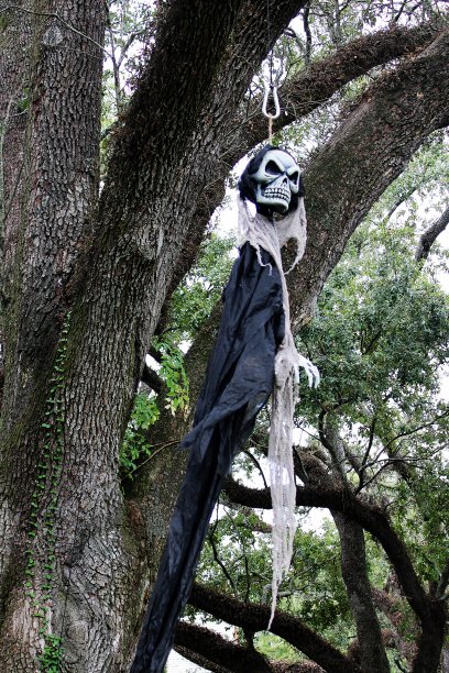 这个黑暗的万圣节幽灵正伸展到树枝上图片下载