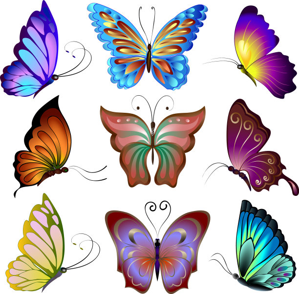 收集彩色蝴蝶图片下载