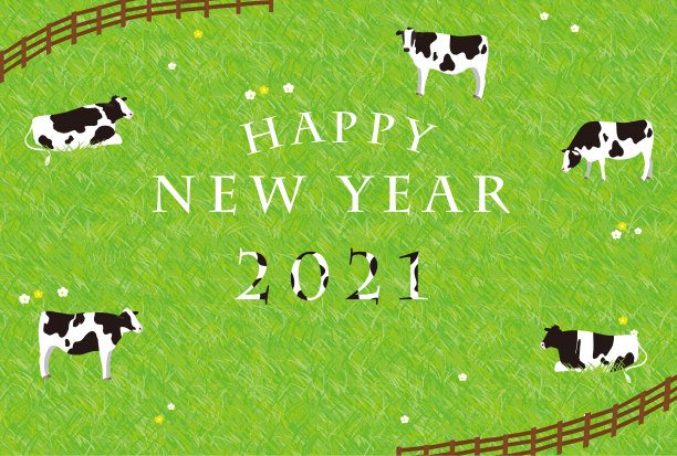 2021牛新年卡片:奶牛在牧场上休息。图片下载