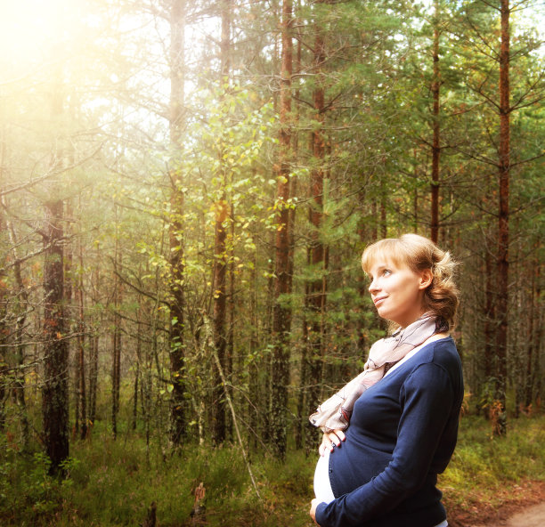 清晨的森林里有个孕妇图片下载