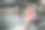 健康年轻女子运动图片下载
