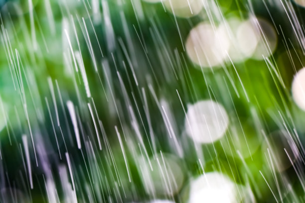 白色的散谷是绿色的图片下载