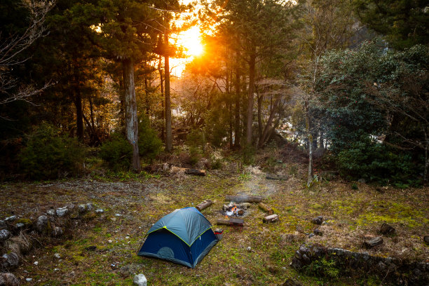 日出露营在森林里图片下载