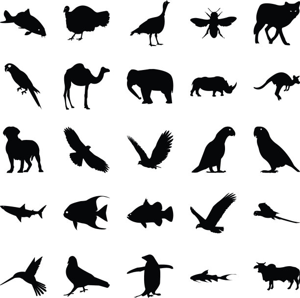 固体图标动物图片下载