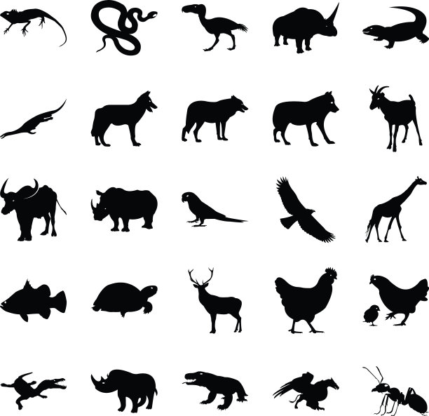 野生动物图标包图片下载